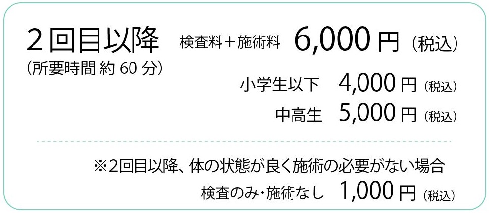 整体施術の料金表